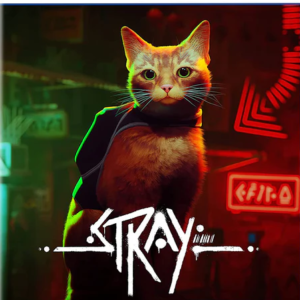 Stray